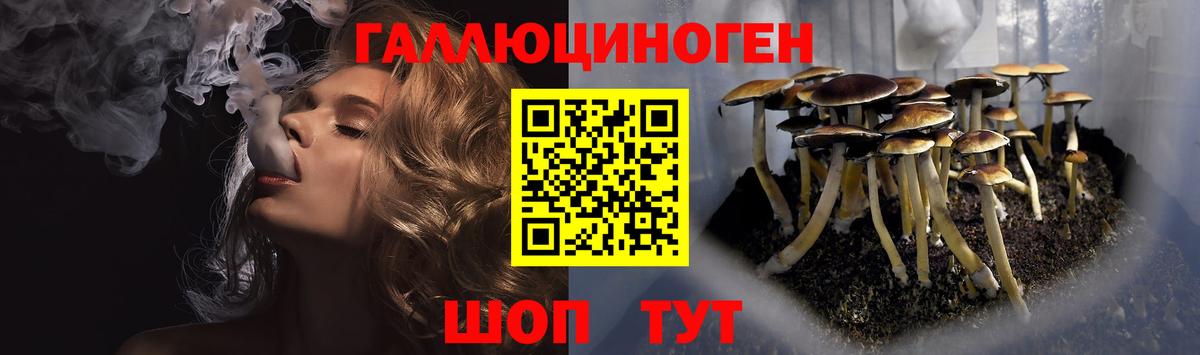 Галлюциногенные грибы Cubensis Белорецк